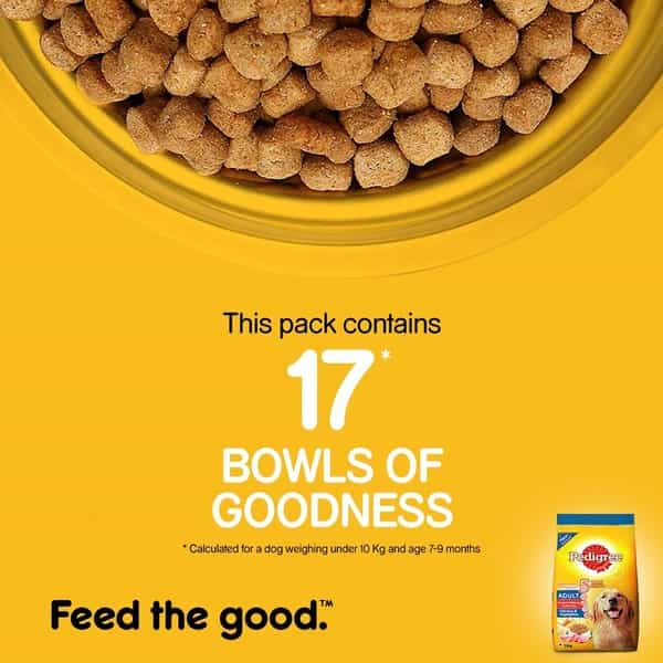 Pedigree Dog Food Adult Chicken & Veg 1.2 Kg