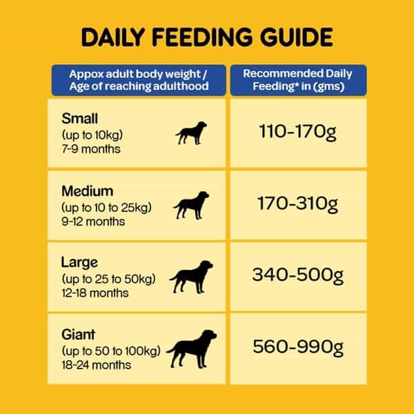 Pedigree Dog Food Adult Chicken & Veg 1.2 Kg