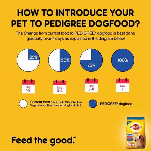 Pedigree Dog Food Adult Chicken & Veg 1.2 Kg