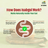 Zandu Sat Isabgol Psyllium Husk 100Gm