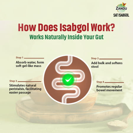 Zandu Sat Isabgol Psyllium Husk 100Gm
