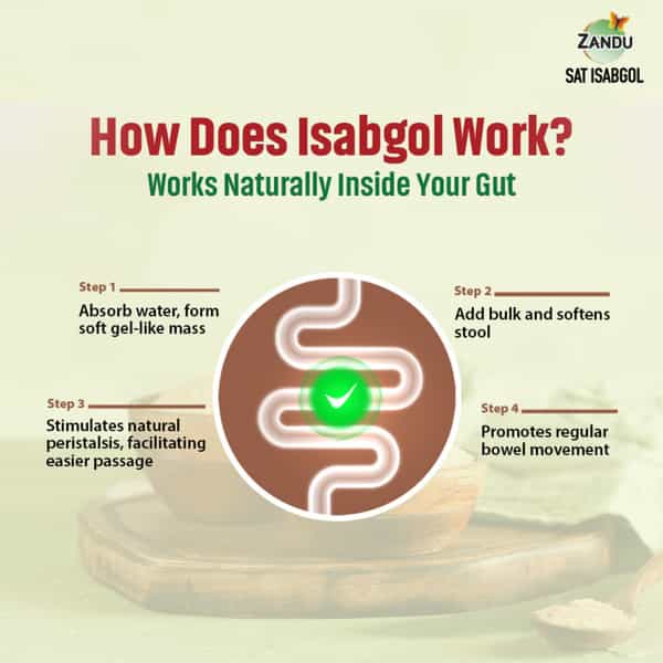 Zandu Sat Isabgol Psyllium Husk 100Gm