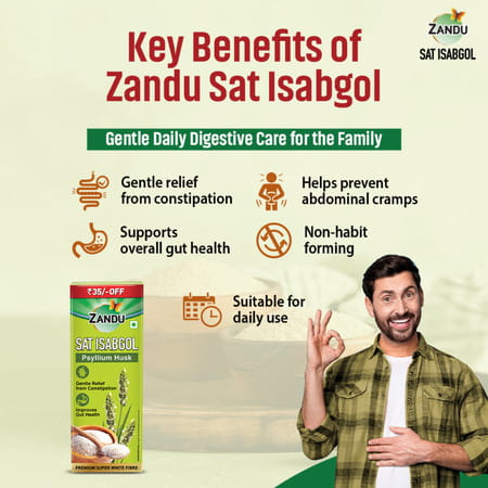 Zandu Sat Isabgol Psyllium Husk 100Gm