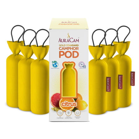 Auracam Gold Standard Camphor Pod Cone Citrus- Set Of 6