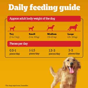 Pedigree Tasty Jerky Roasted Lamb Flavour Dog Treat | Jerky-style Treats For Bonding