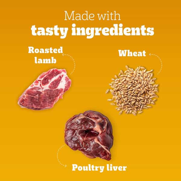 Pedigree Tasty Jerky Roasted Lamb Flavour Dog Treat | Jerky-Style Treats For Bonding
