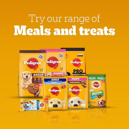 Pedigree Tasty Jerky Roasted Lamb Flavour Dog Treat | Jerky-Style Treats For Bonding