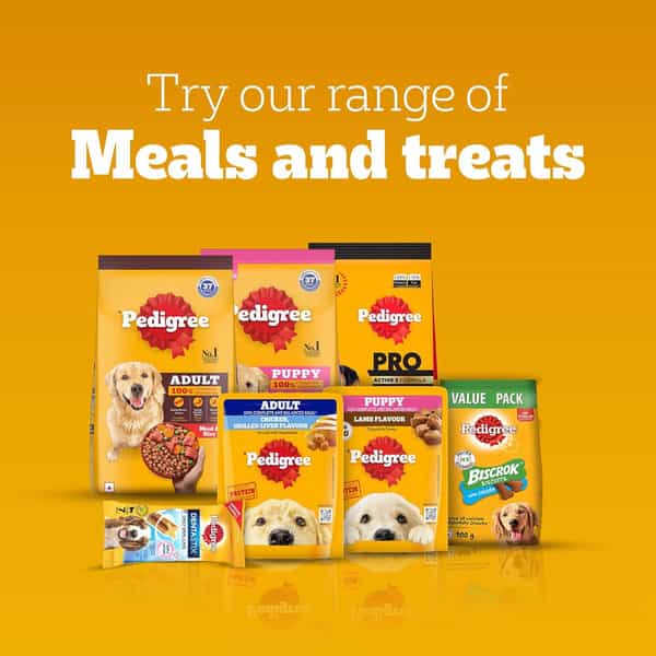 Pedigree Tasty Jerky Roasted Lamb Flavour Dog Treat | Jerky-Style Treats For Bonding