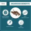Bixa Botanical Akarkara Root Powder-Supports Healthy Nervine Functions | Strength & Stamina(200G)