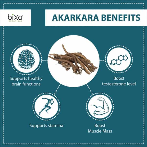 Bixa Botanical Akarkara Root Powder-Supports Healthy Nervine Functions | Strength & Stamina(200G)