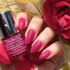 Debelle Gel Nail Polish Combo Set Of 6 Tulip Sheen(Dark Maroon) 48 Ml (8 Ml Each) Rakhi Gift