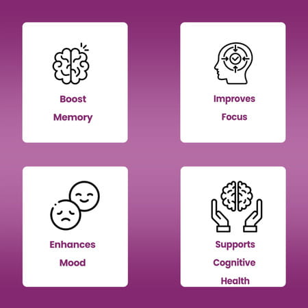 Dr. Morepen Memory Booster | Tablets | 60 No'S