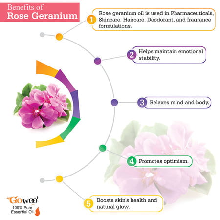 Pack Of 2 Rose Geranium Essential Oil & Papaya Seed Carrier Oil - Natural Therapeutic Cold Pressed