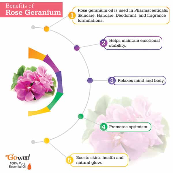 Pack Of 2 Rose Geranium Essential Oil & Papaya Seed Carrier Oil - Natural Therapeutic Cold Pressed