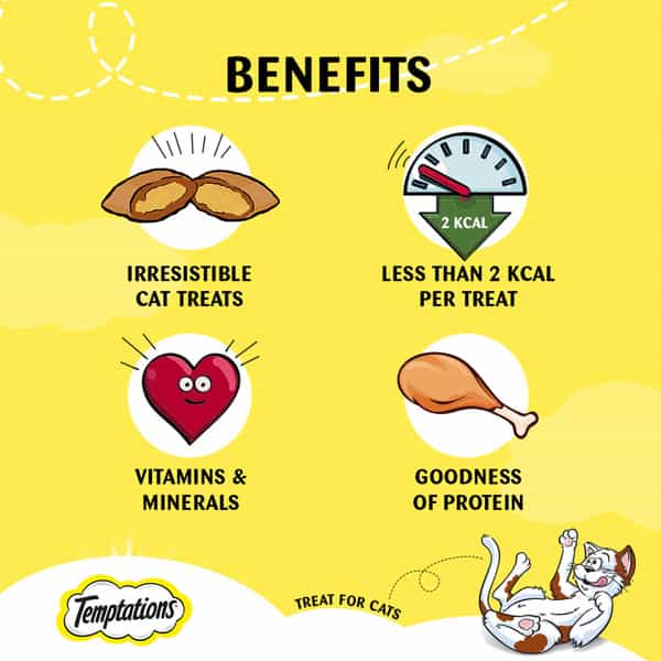 Temptations - Cat Treat Savoury Salmon Flavour (85 Gm)