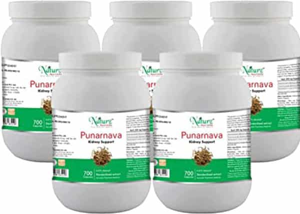 Naturz Ayurveda Punarnava 700 Capsules Value Pack Of 5