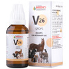 Dr Bakshi's Bakson Homoeopathy B26 Injury Drops 30 Ml