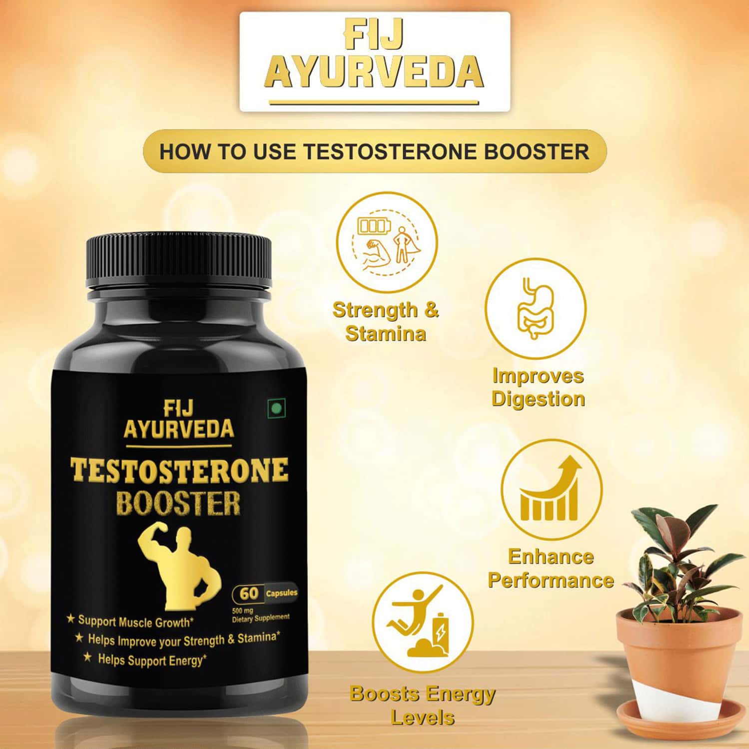 Buy FIJ AYURVEDA TESTOSTERONE BOOSTER CAPSULE SUPPORTS BODYBUILDING
