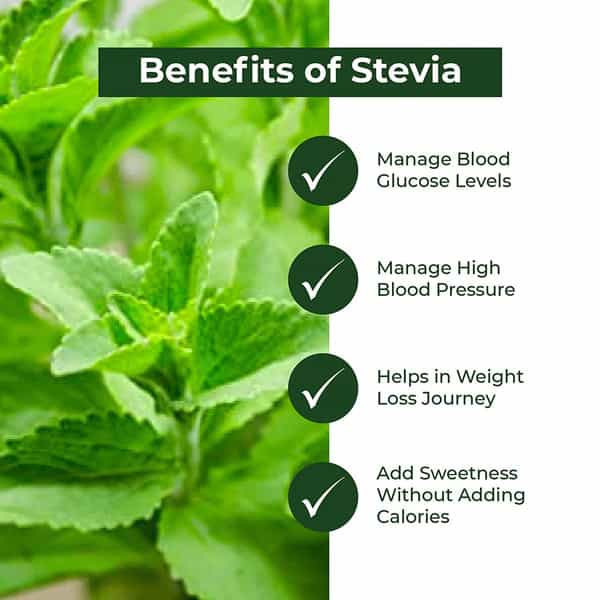 Sugar Fighter Stevia - Zero Calories & Fat Free Sweetener - Combo - 100 Gm Powder Jar + 100 Tablet