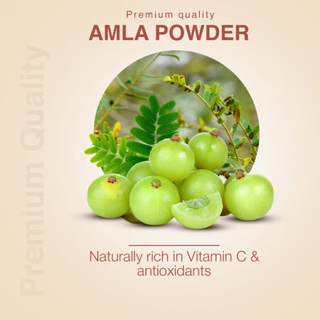 Ayouthveda Amla Powder - 200g