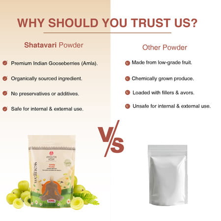 Ayouthveda Amla Powder - 200g