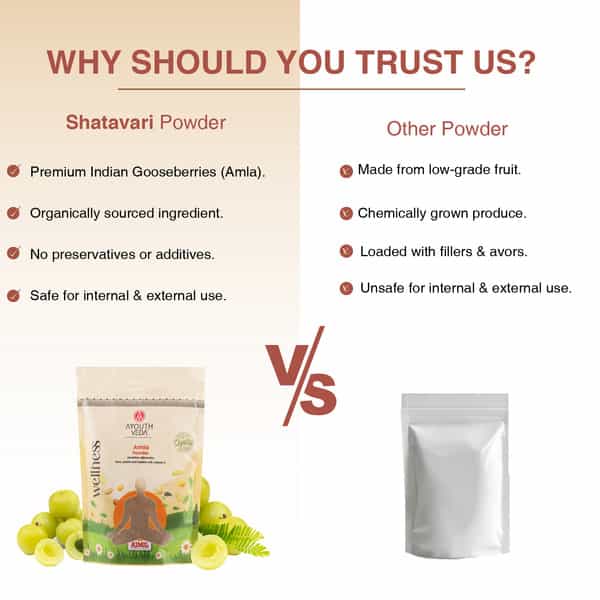 Ayouthveda Amla Powder - 200G