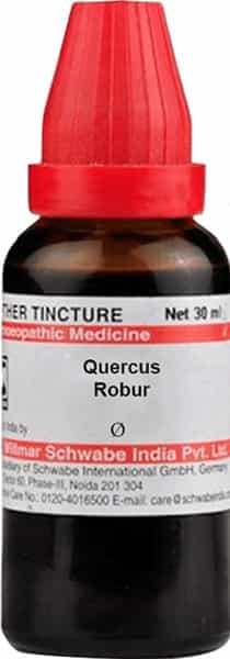 Dr. Willmar Schwabe Quercus Robur Mother Tincture Q 30 Ml