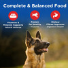 Chappi Adult (1+ Years) Dry Dog Food | Chicken & Rice | 2.8 Kg | Complete And Balanced