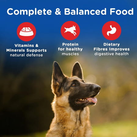 Chappi Adult (1+ Years) Dry Dog Food | Chicken & Rice | 2.8 Kg | Complete And Balanced
