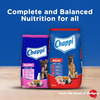 Chappi Adult (1+ Years) Dry Dog Food | Chicken & Rice | 2.8 Kg | Complete And Balanced