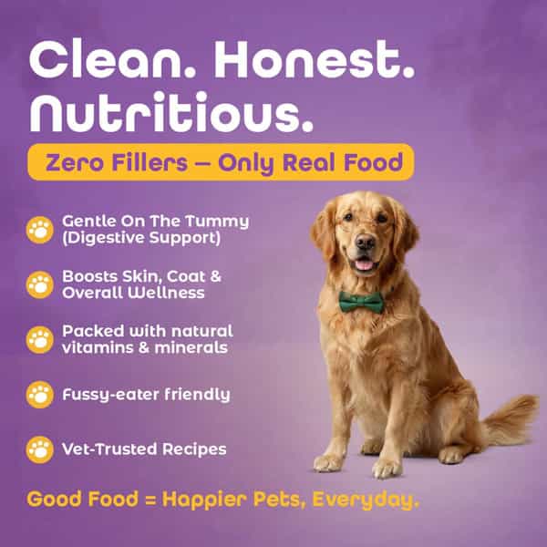 Bakson Veterinary Simbites Chicken Rice With Veggies Wet Food For Dogs 300 Gm (Pack Of 12)