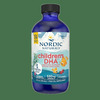 Nordic Naturals Childrens Dha Omega 3 Arctic Cod Liver Oil Fish Oil For Kids 530Mg Strawberry 119Ml