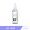 Pearldew Sanitizer Spray (Blueberry) 120 Ml | Aloe & Neem | Paraben Free (Pack Of 4)