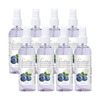 Pearldew Sanitizer Spray (Blueberry) 120 Ml | Aloe & Neem | Paraben Free (Pack Of 4)