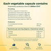 Lactogut Probiotic For Gut Health 30 No's