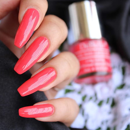 Debelle Gel Nail Polish Gift Set Of 6 - 48ml(8ml Each)