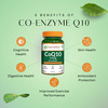 Pure Nutrition Co-Enzyme Q10 (175 Mg) For Cellular Growth And Energy 60 Veg Capsules