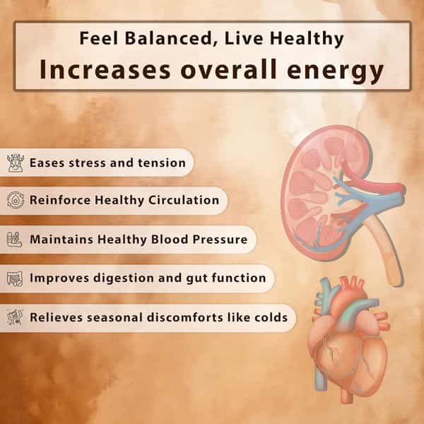 Jeena Sikho Dr. Diab | Control Blood Sugar | Blood Pressure | Better Heart Health | 60 Tablets