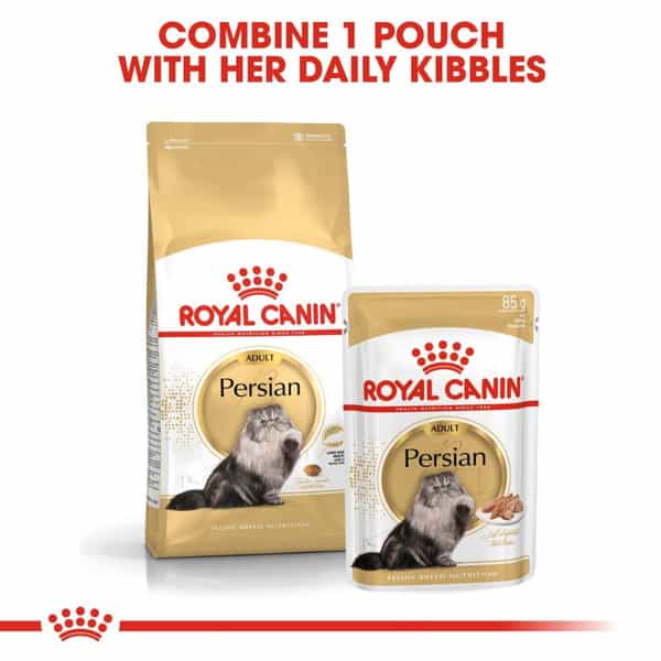 Royal Canin Persian Adult Cat Food | 4 Kg