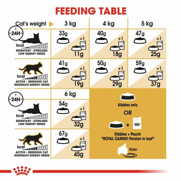 Royal Canin Persian Adult Cat Food | 4 Kg