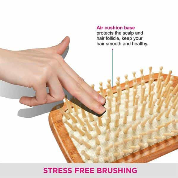 Vega Paddle Brush - E2-Pbb