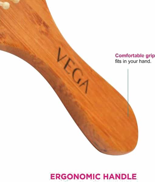 Vega Paddle Brush - E2-Pbb
