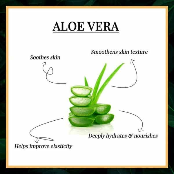 Good Vibes Hydrating Face Wash Aloe Vera - 120 Ml