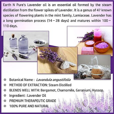 Earth N Pure Lavender Essential Oil (30 Ml) (30 Ml)