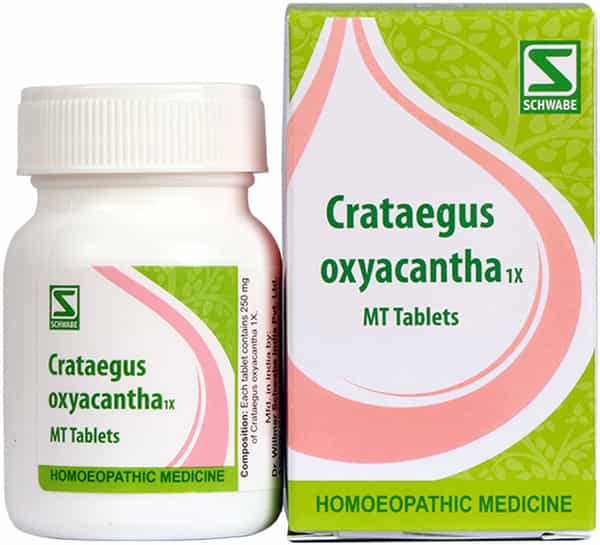 Dr. Willmar Schwabe India Crataegus Oxyacantha 1X 20Gm