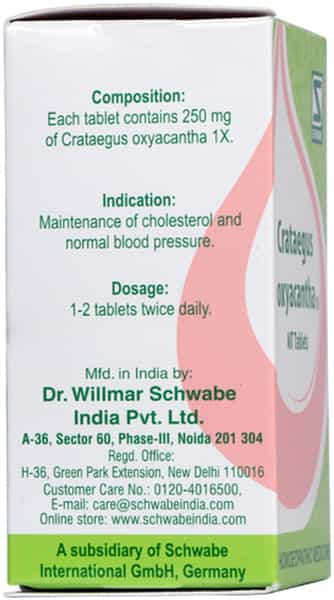 Dr. Willmar Schwabe India Crataegus Oxyacantha 1X 20Gm