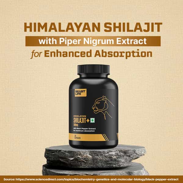 Beastlife Himalayan Shilajit+ Capsules 30N
