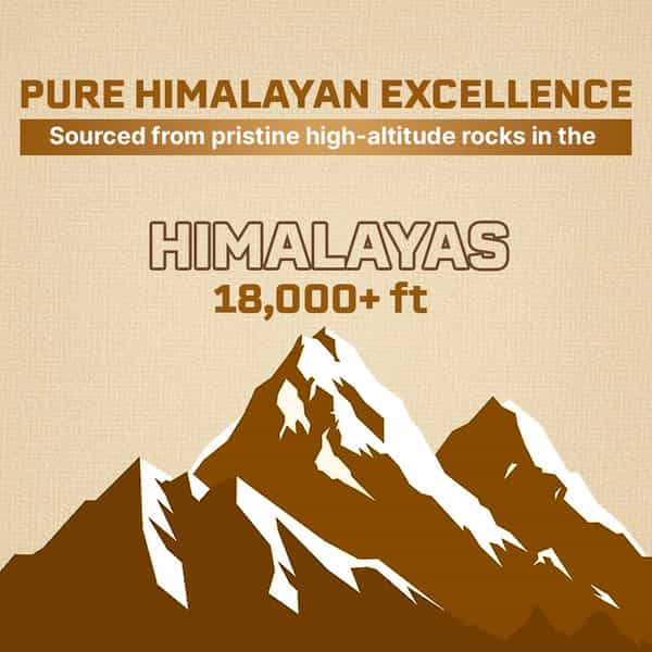 Beastlife Himalayan Shilajit+ Capsules 30N