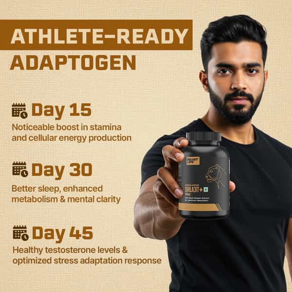 Beastlife Himalayan Shilajit+ Capsules 30N