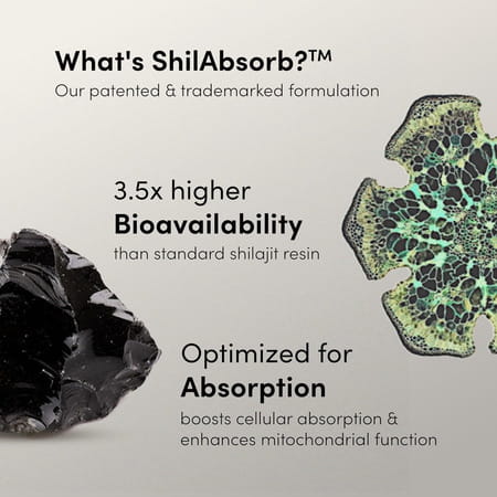 Man Matters 400mg Advanced Himalayan Shilajit Gummies | 75% Fulvic Acid & Ksm 66 Ashwagandha | 60 N